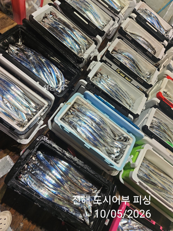 KakaoTalk_20261005_051530639_14.jpg
