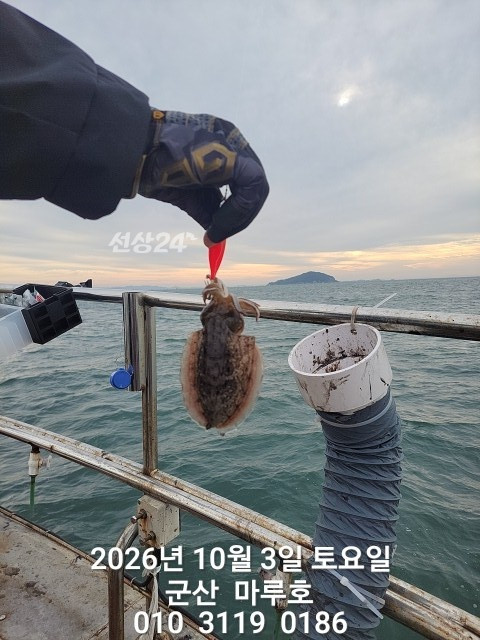 KakaoTalk_20261003_152748936_10.jpg