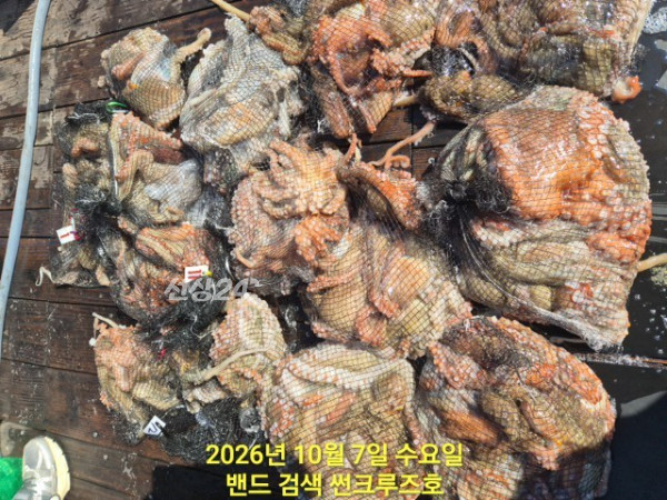 6204.jpg