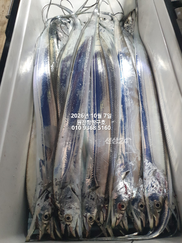 KakaoTalk_20261007_021349080_08.jpg