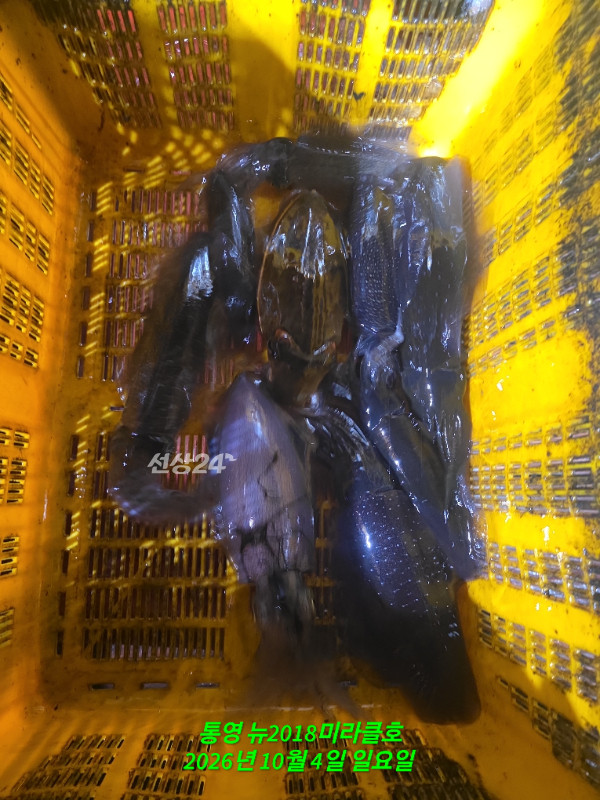 1000081463.jpg
