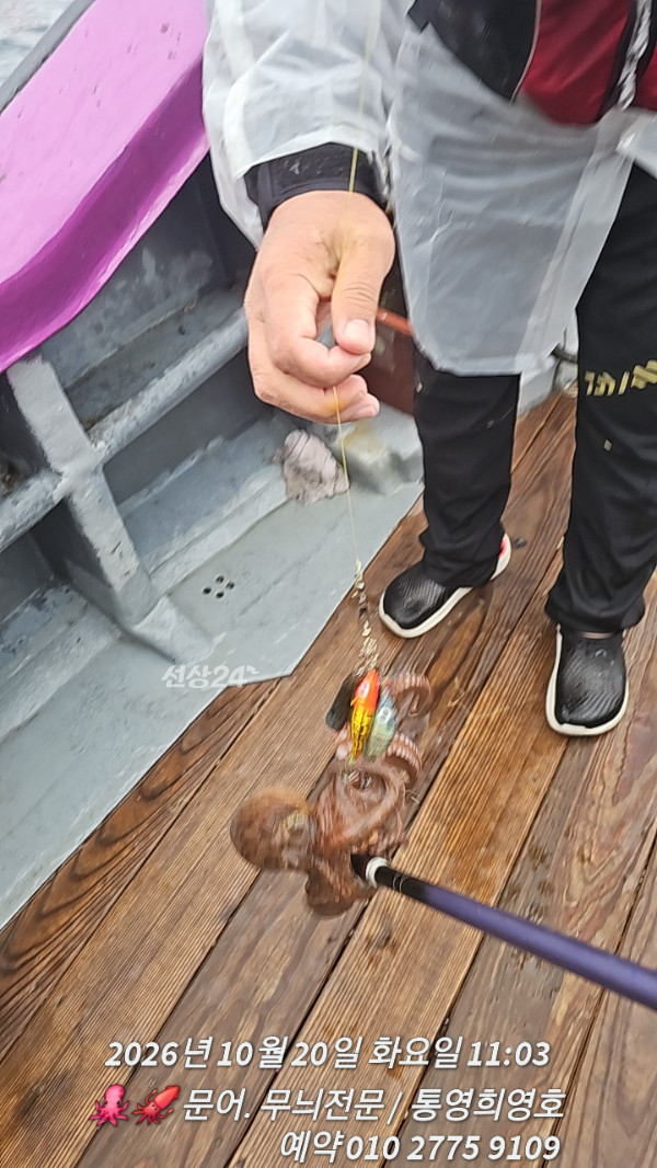78558.jpg