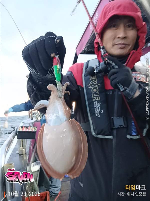 6_8e4Ud018svc1d9e06zulsyt7_82sd02.jpg