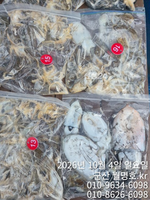 18091.jpg