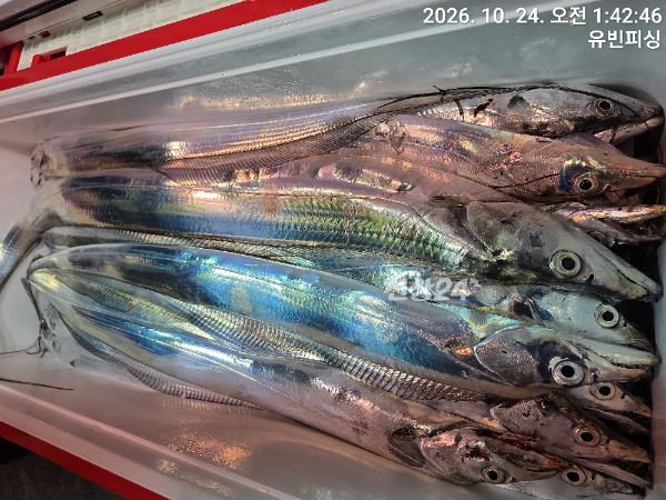 KakaoTalk_20261024_061521650_08.jpg