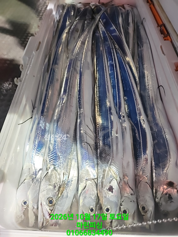 KakaoTalk_20261017_103946339_14.jpg