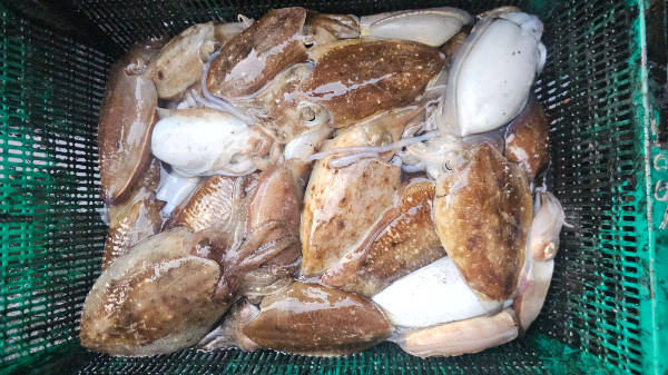 KakaoTalk_20261008_194531087_09.jpg