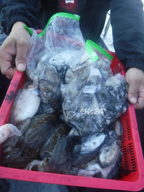 일괄편집_47.jpg