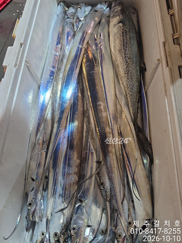68777.jpg
