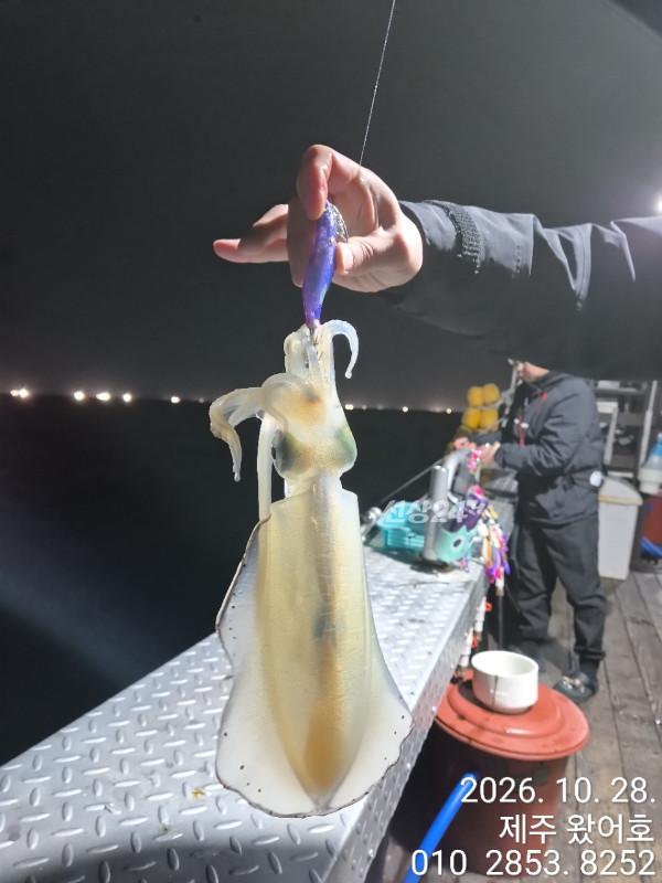 제주왔어호_사진_20261029_18.jpg