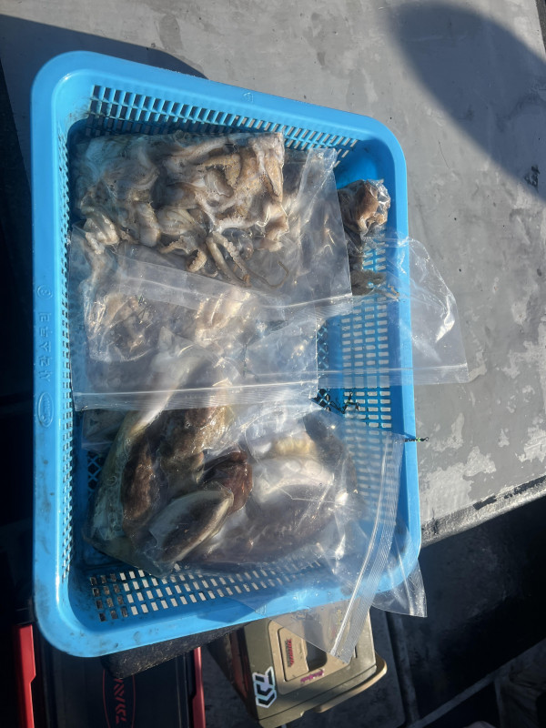 KakaoTalk_20261005_171331550.jpg