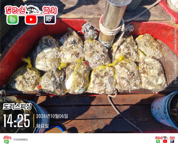 20261006_142529_글꼴-도리스피싱.jpg