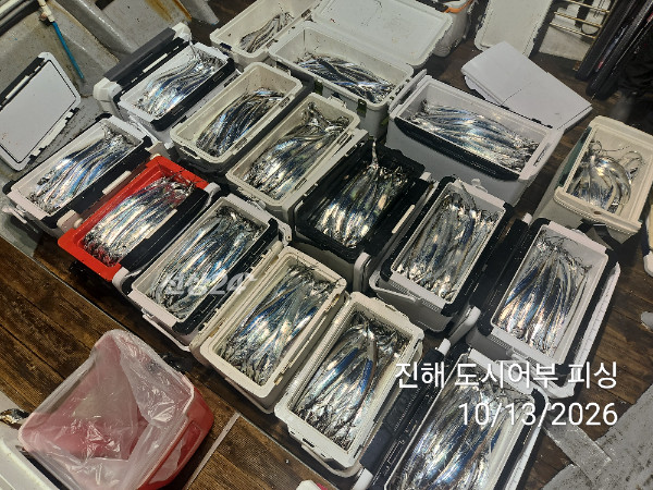 KakaoTalk_20261013_051029627_15.jpg