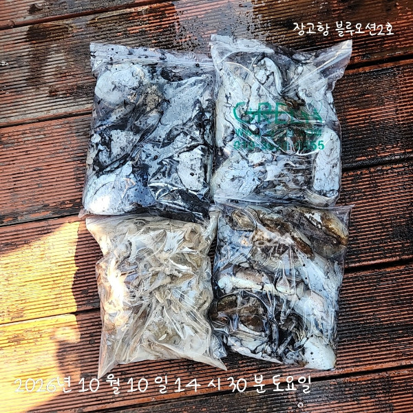 1000018636.jpg