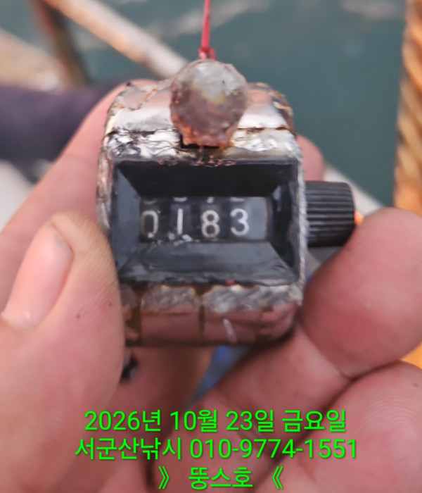 군산 선상낚시, 바다낚시 출조 전문 ☆서군산낚시☆_사진_20261023_4.jpg