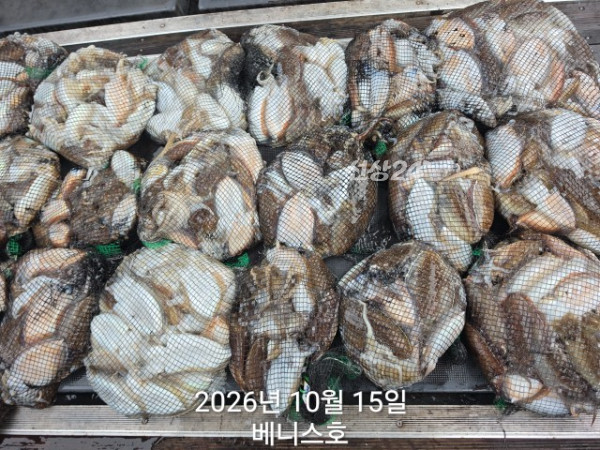 KakaoTalk_20261015_161756818_01.jpg