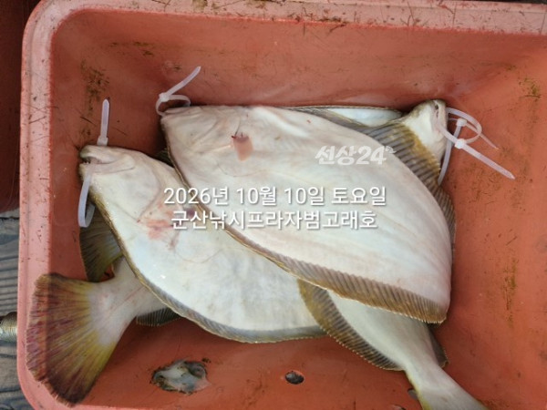 KakaoTalk_20261010_171909981_07.jpg