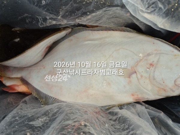 KakaoTalk_20261016_163731307_06.jpg