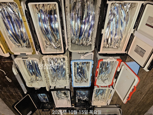 B908900A-D021-45ED-94B6-03F11B47AA48.jpeg