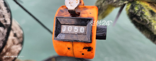 8055.jpg
