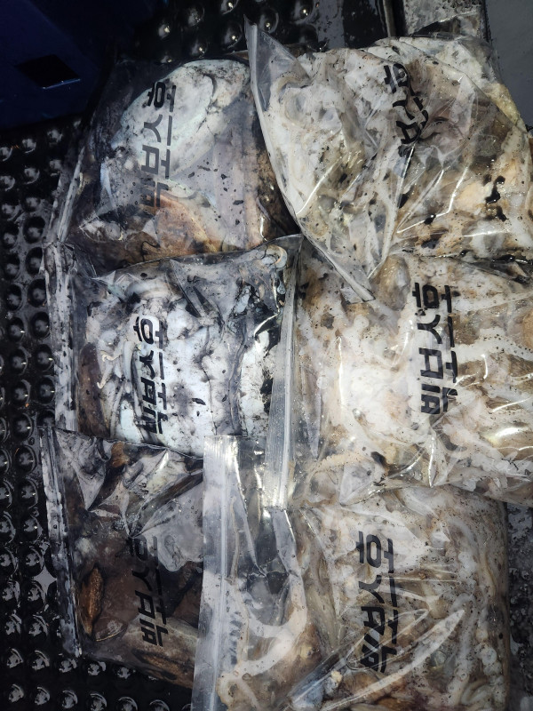 KakaoTalk_20261024_202826732_06.jpg