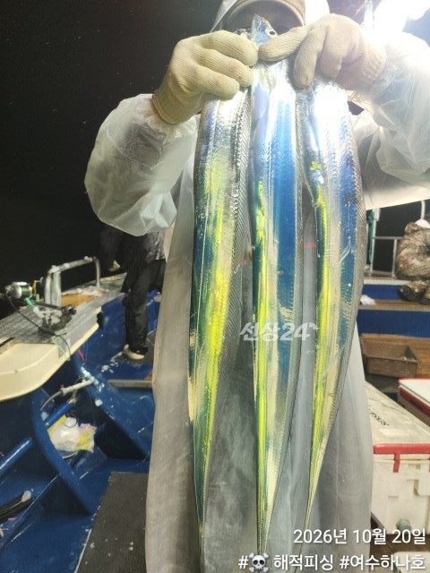 KakaoTalk_20261020_075839159_11.jpg