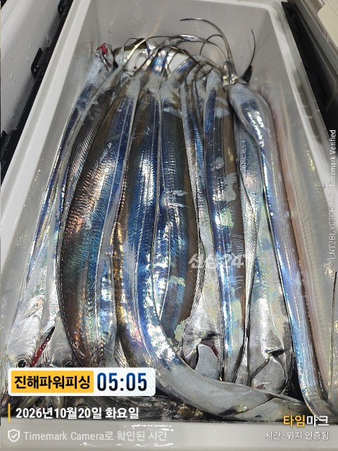 45292.jpg