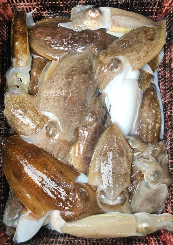 KakaoTalk_20261019_185724259_08.jpg