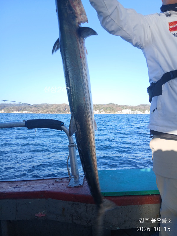KakaoTalk_20261015_115359305_02.jpg