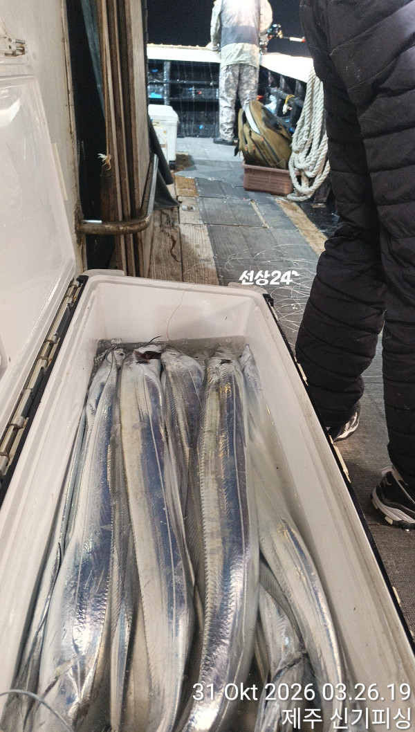 KakaoTalk_20261031_084150769_16.jpg