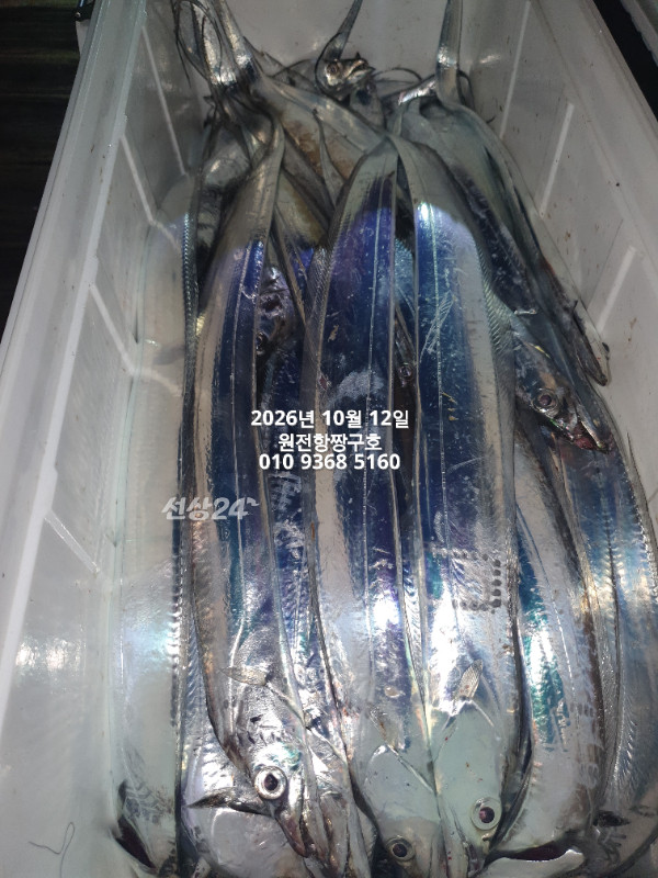 KakaoTalk_20261012_134836822.jpg