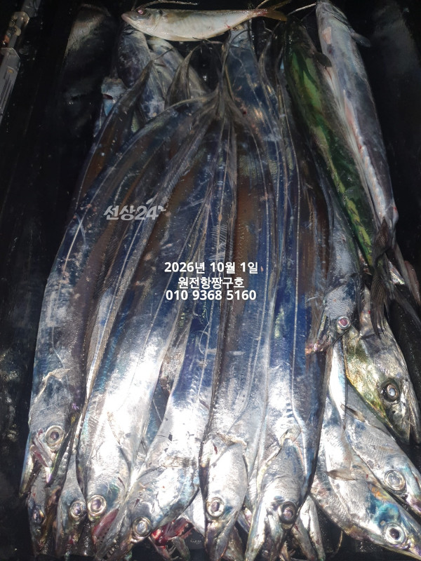 KakaoTalk_20261001_132603487_02.jpg