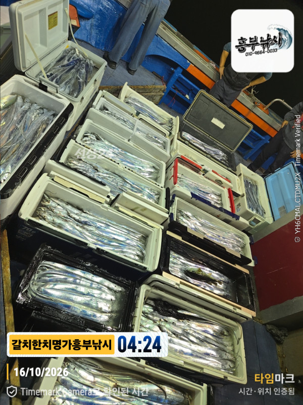 20261016_042407_Japan_제목-갈치한치명가흥부낚시.jpg