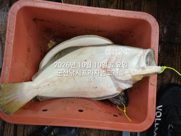 KakaoTalk_20261010_171909981_04.jpg