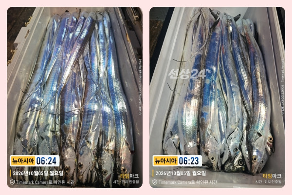 KakaoTalk_20261005_094827875_02-side.jpg