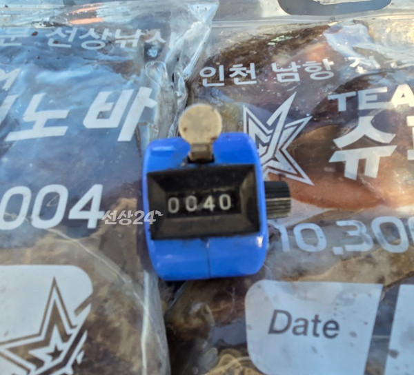25229.jpg