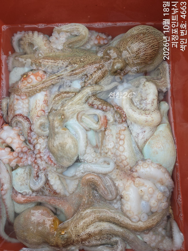 KakaoTalk_20261018_163900691_05.jpg