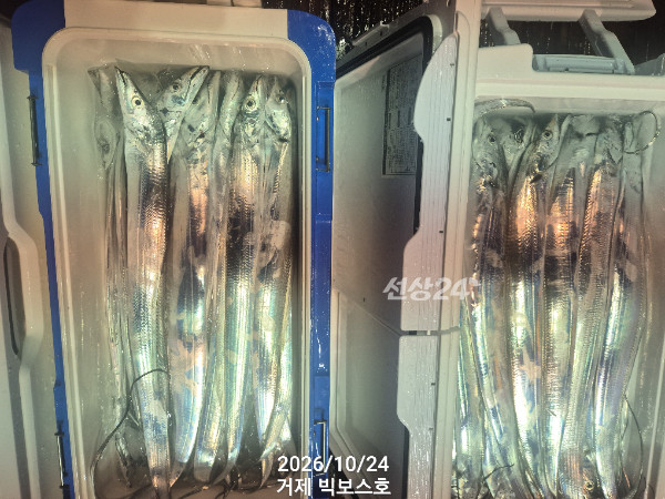 1000050461.jpg