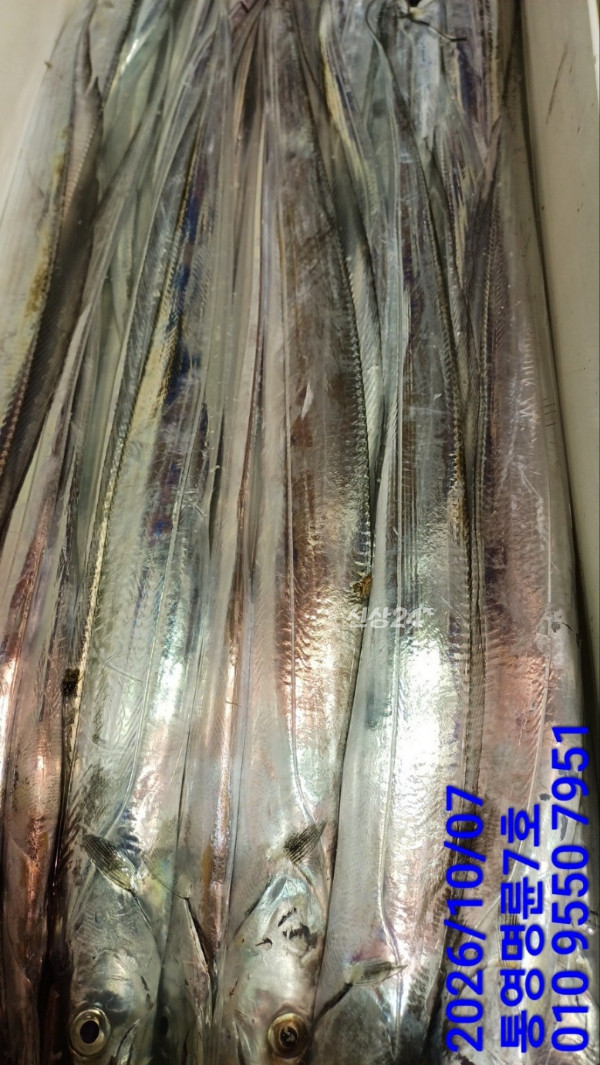 KakaoTalk_20261007_044700161_18.jpg
