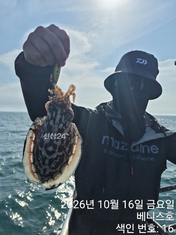 KakaoTalk_20261016_192837708_14.jpg