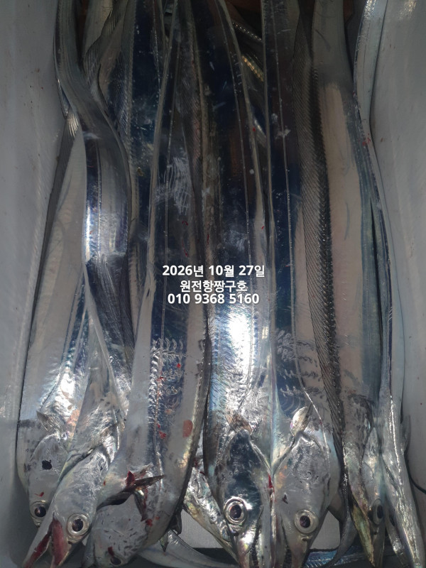 37765.jpg