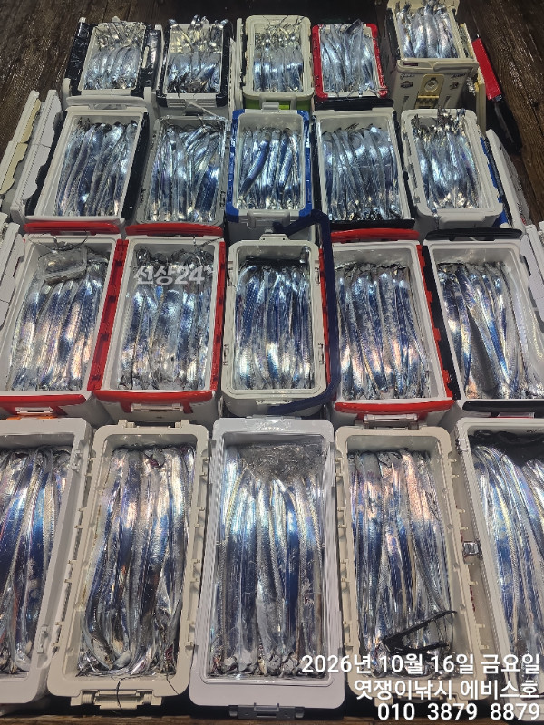 74716.jpg