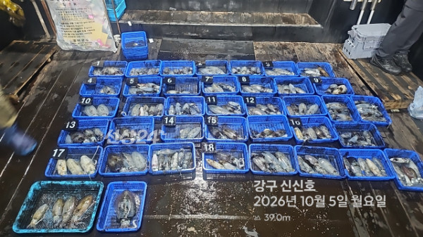 신신낚시 강구점 신신호_사진_20261006_9.jpg
