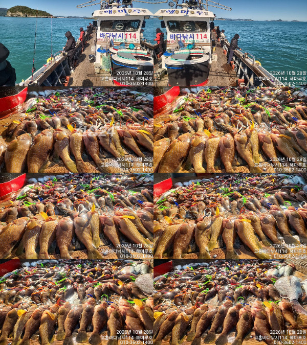 01TimePhoto_20261028_141103-tile.jpg