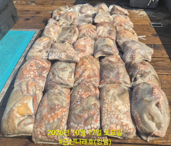 KakaoTalk_20261019_012650269_01.jpg