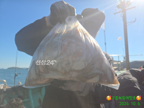 쎄븐피싱클럽(선상 버스출조전문)_사진_20261008_8.jpg
