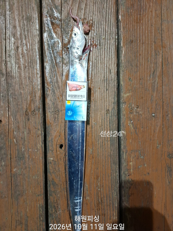 1000037329.jpg