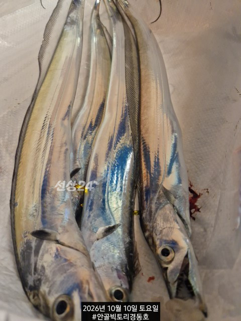 1791581745049.jpg