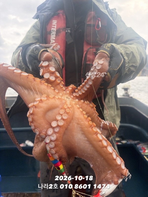 9B56B53E-AD19-421F-96AB-C72B79E66765.jpeg
