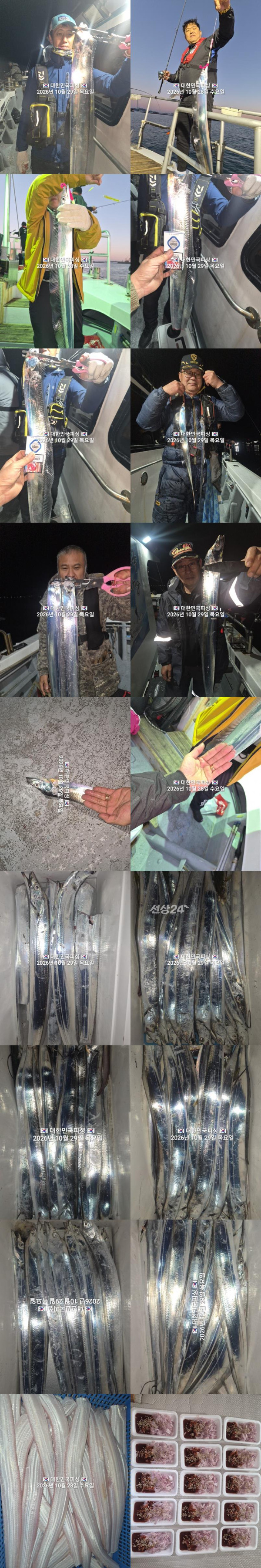 갈치1.jpg